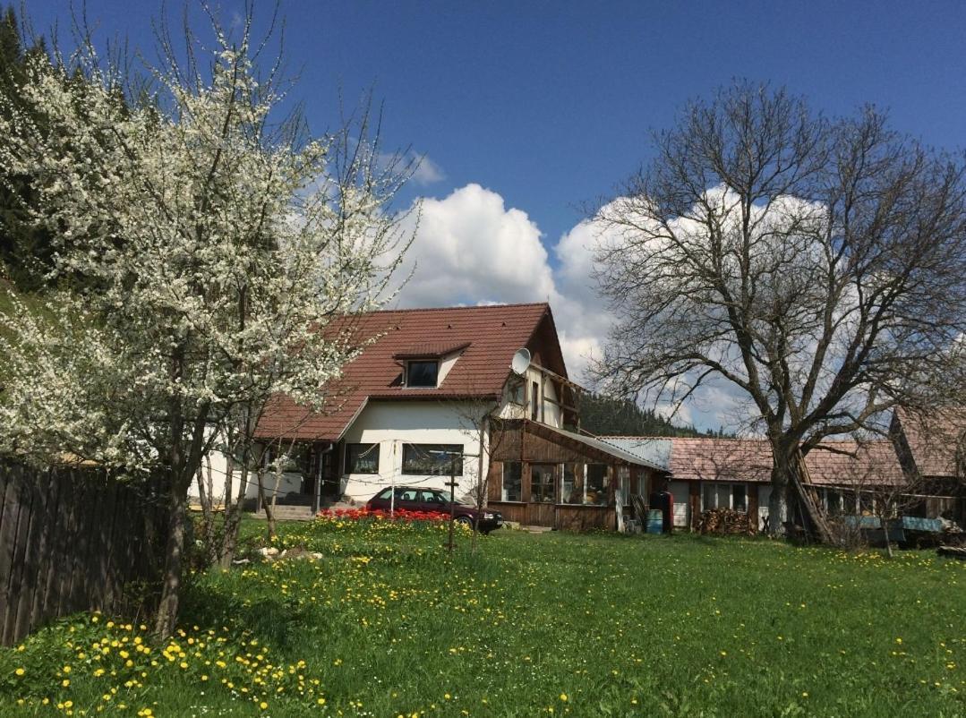 Karacsony Guest House Lunca de Sus Экстерьер фото